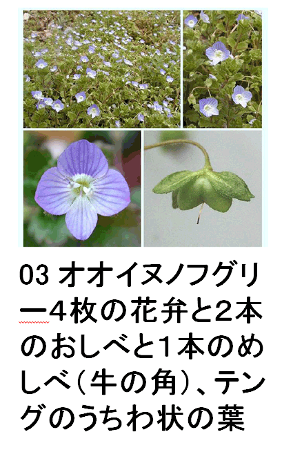 03 IICkmtO-4̉ԕق2{ׂ̂1{̂߂ׁi̊pjAeÔ̗t