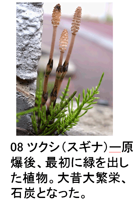 08 cNViXMij|[Aŏɗ΂oAB̑ɉhAΒYƂȂB