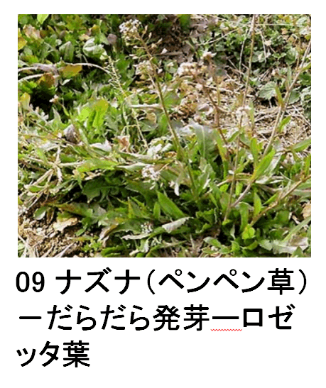 09 iYiiyyj|炾甭[[b^t