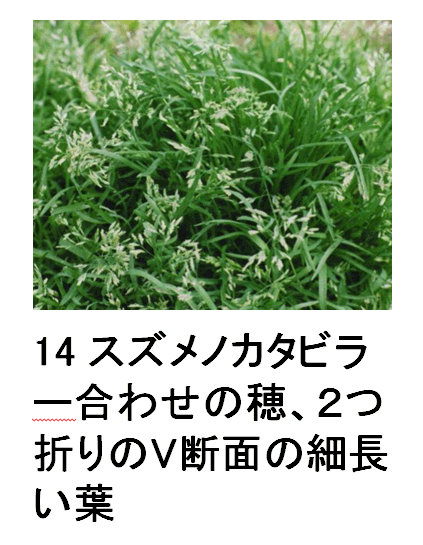 14 XYmJ^r[킹̕AQ܂Vfʂ̍גt
