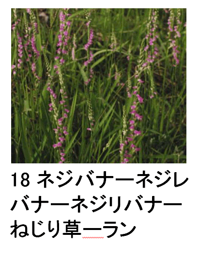18 lWoi[lWoi[lWoi[˂葐[